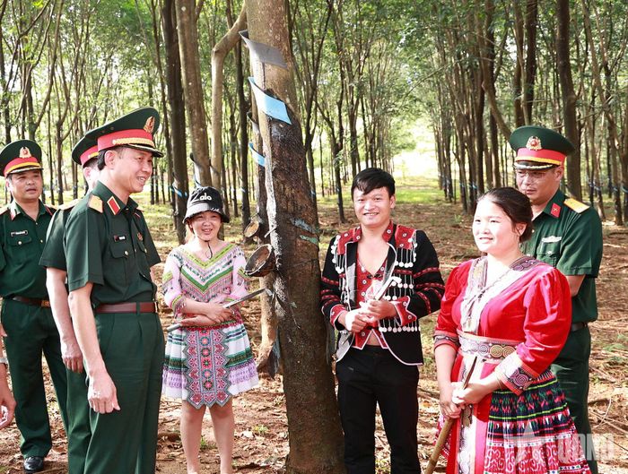 Đoàn công tác kiểm tra vườn cao su tại Đoàn KT-QP 720. 