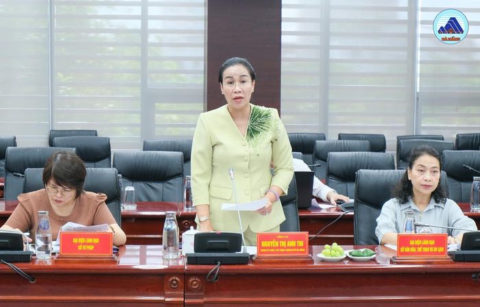Phó Chủ tịch UBND thành phố Đà Nẵng Nguyễn Thị Anh Thi phát biểu tại buổi làm việc.