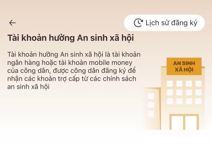  Tài khoản hưởng an sinh xã hội trên VNeID 