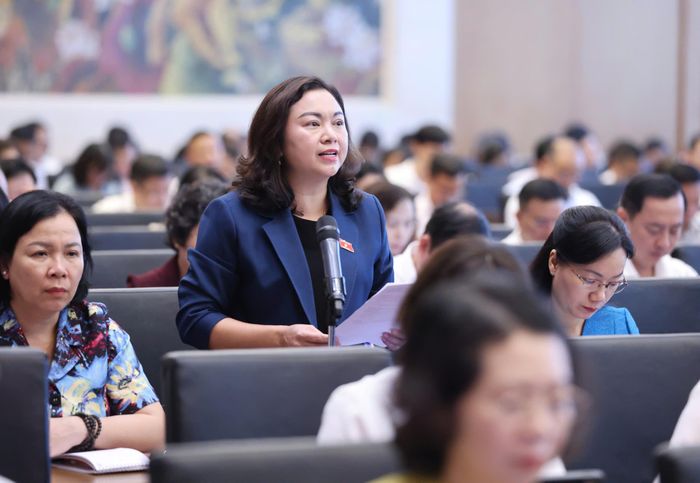  ĐB Đặng Bích Ngọc (Phú Thọ) phát biểu tại hội nghị. Ảnh: QUANG PHÚC 