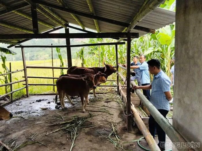 Trước khi giải ngân, các mô hình được kiểm tra, nghiệm thu tại hộ dân.