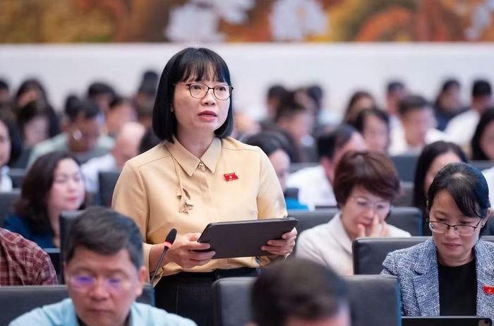 Phó trưởng đoàn chuyên trách đoàn ĐBQH thành phố Hải Phòng Nguyễn Thị Việt Nga phát biểu (ảnh QH).