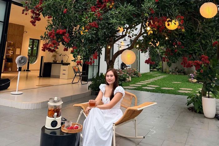 Mùa chôm chôm, tán cây sai quả phủ rộng trước nhà. Bên dưới được đặt bàn, ghế; trên cây còn treo một chiếc đèn chùm. Đây cũng là nơi cả gia đình thường uống trà, trò chuyện hoặc mắc võng nghỉ trưa.