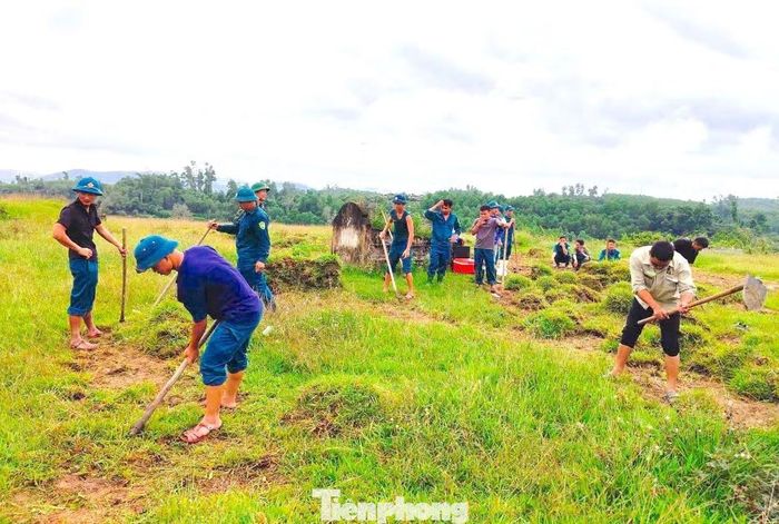 Các cán bộ chiến sĩ, lực lượng dân quân tự vệ cùng đoàn viên thanh niên lấy từng mảng cỏ về để làm thao trường. Công việc được triển khai khẩn trương, góp phần đưa thao trường vào trạng thái sẵn sàng phục vụ nhiệm vụ.