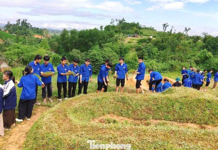  Tại xã Kim Bảng, đoàn viên, thanh niên cũng phối hợp Ban Chỉ huy Quân sự xã tham gia làm thao trường, chuẩn bị cho công tác huấn luyện quân sự﻿ năm 2026. Lực lượng trẻ được huy động thực hiện các phần việc phát quang, chỉnh trang, hoàn thiện khu vực trường bắn. 