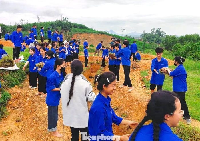 Hàng chục đoàn viên thanh niên xã Kim Bảng xếp thành hàng dài cẩn thận vận chuyển từng mảng cỏ về làm thao trường.