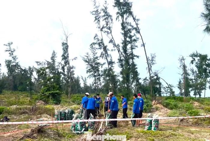 Tại xã Quỳnh Anh (Nghệ An), những ngày qua hàng chục đoàn viên thanh niên phối hợp Đồn Biên phòng Quỳnh Thuận đã tham gia chuẩn bị công sự, thao trường phục vụ huấn luyện. Từ những công việc cụ thể, tuổi trẻ địa phương góp sức cùng cán bộ, chiến sĩ hoàn thiện các hạng mục cần thiết trước khi bước vào mùa huấn luyện.