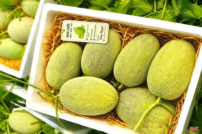 Phát triển kinh tế xanh, ứng dụng khoa học - công nghệ, chuyển đổi số và nâng cao chất lượng môi trường sẽ là những trụ cột quan trọng trong xây dựng NTM giai đoạn 2026 - 2030.