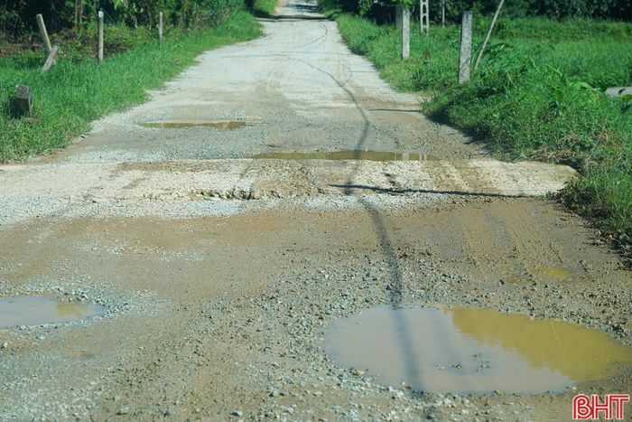 Theo thiết kế, nền đường rộng 7,5m, mặt đường rộng 6m, lề đường mỗi bên rộng 0,75m. Tại các nút giao đầu tuyến với quốc lộ 8, cuối tuyến với quốc lộ 281 và một số đoạn đào sâu, nền đường được mở rộng lên 9m theo phương án thiết kế.