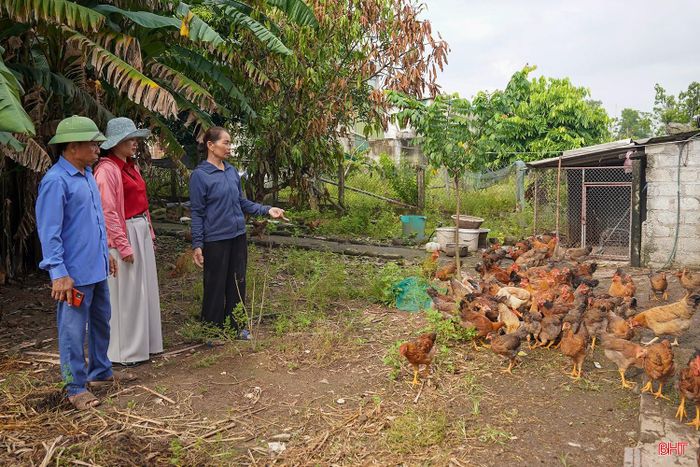 Địa phương chú trọng lựa chọn mô hình phù hợp với điều kiện của từng hộ, từng khu dân cư.