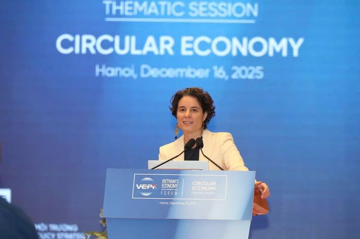 Bà Francesca Nardini - Phó Trưởng Đại diện Thường trú của Chương trình phát triển Liên hợp quốc tại Việt Nam. (Ảnh: UNDP cung cấp)
