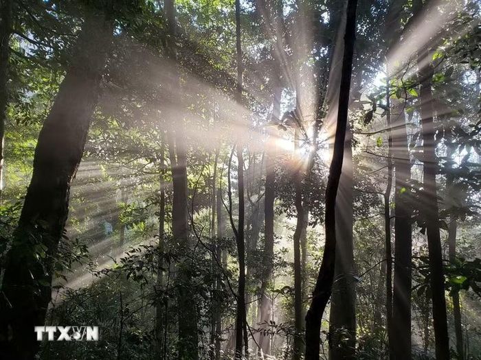 Cảnh đẹp như tranh tại Vườn quốc gia Kon Ka Kinh. (Ảnh: TTXVN phát)