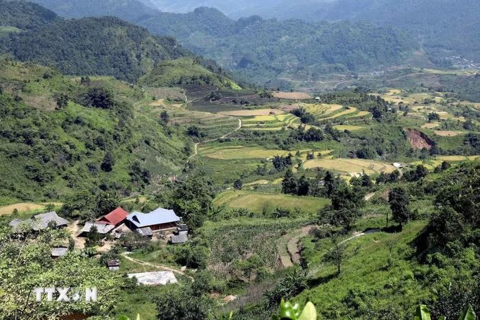 Từ trên bản Lao Chải, du khách phóng tầm mắt ra xa ngắm nhìn những thửa ruộng lúa bậc thang cùng thiên nhiên hùng vĩ. (Ảnh: Quý Trung/TTXVN)