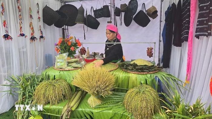 Gian hàng trưng bày sản phẩm cốm Hợp Thành. (Ảnh: Hương Thu/TTXVN)