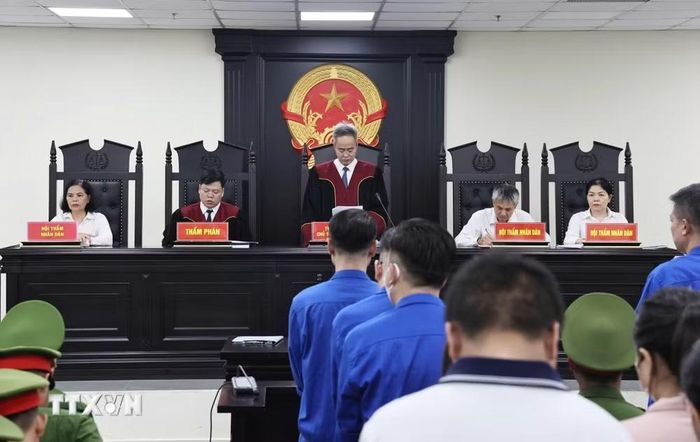 Hội đồng xét xử tuyên án phạt 29 bị cáo trong vụ án sản xuất 426 lô sản phẩm sữa giả. (Ảnh: Kim Anh/TTXVN)
