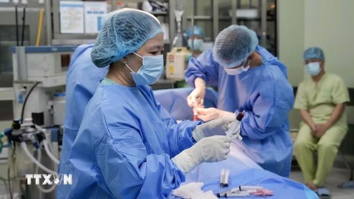 Thực hiện thu hoạch tủy xương. (Ảnh: TTXVN phát)