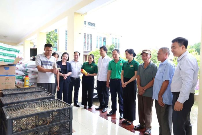Hội Nông dân tỉnh và đại diện cấp ủy, chính quyền xã Yên Sơn kiểm tra gà giống, thức ăn chăn nuôi trước khi trao hỗ trợ cho các hộ tham gia mô hình.