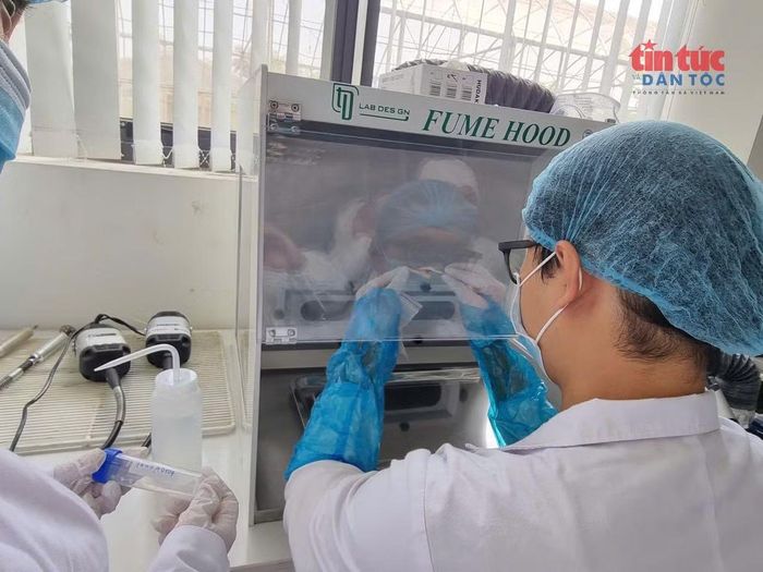 Quá trình làm sạch mẫu sinh phẩm thu được từ các nghĩa trang.