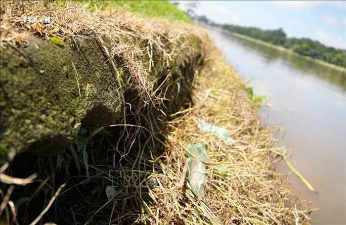 Vị trí một đoạn kè của hồ Xuân Hương đã bị sụt lún, hở hàm ếch, có nguy cơ ảnh hưởng đến mỹ quan công trình.