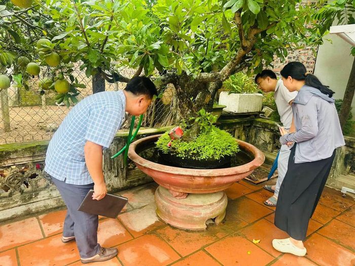 Những nơi nước đọng là nơi dễ phát sinh ổ bọ gậy, là nơi sinh sản của muỗi truyền bệnh sốt xuất huyết.