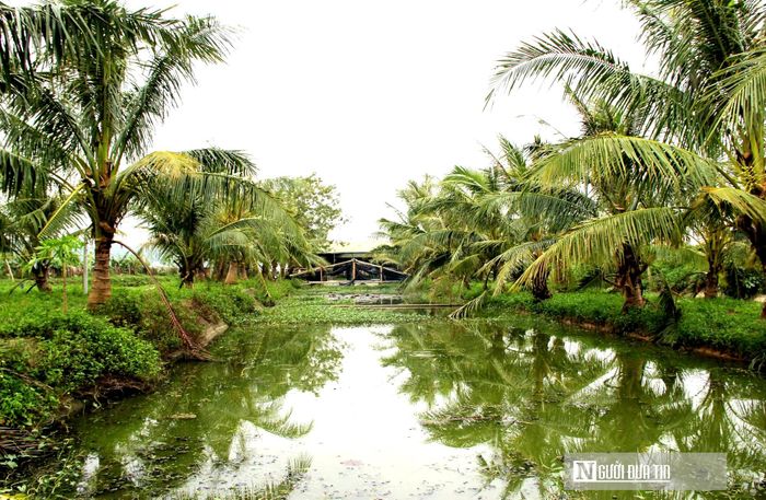 Theo người dân, một trong những "chìa khóa" cốt lõi quyết định đến sự thành bại của mô hình này chính là nguồn nước.