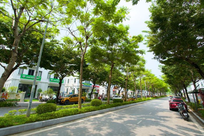 Những tuyến phố rợp bóng cây, được quy hoạch đồng bộ tại Khu đô thị Dương Nội – nơi nhịp sống an cư và dịch vụ thương mại song hành. Nguồn ảnh DNCC