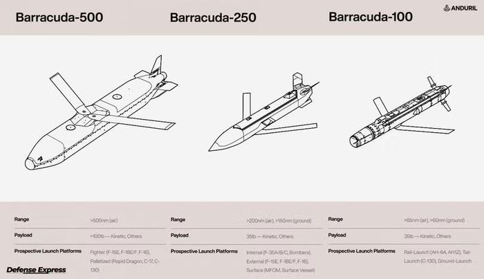 Ba mẫu đạn Barracuda-100, Barracuda-250 và Barracuda-500. Ảnh: DefenseExpress.