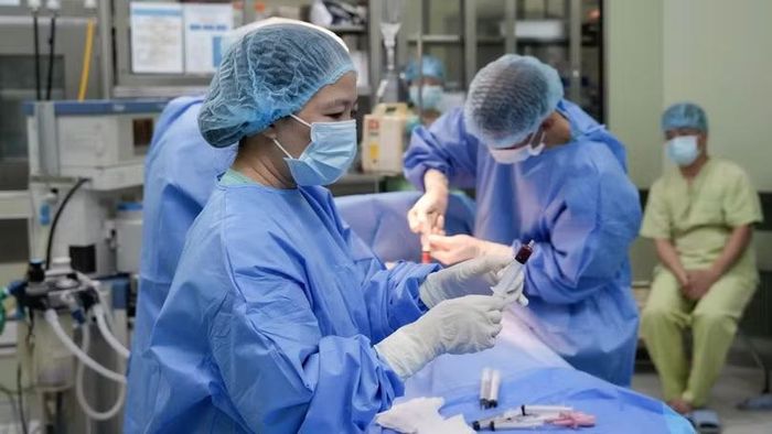 Các bác sĩ Bệnh viện TƯ Huế đang thực hiện ca ghép tuỷ cho bệnh nhân. Ảnh Nguyễn Lê.