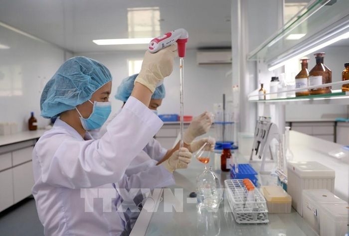 Nghiên cứu viên tại Viện Vắc xin và Sinh phẩm Y tế - Bộ Y tế (trụ sở tại tỉnh Khánh Hòa) nghiên cứu, kiểm định vaccine. Ảnh: Xuân Triệu - TTXVN