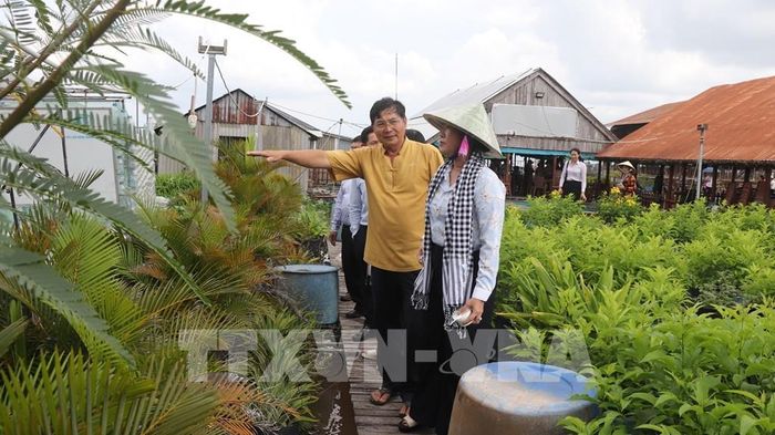 Bà Nguyễn Thị Ngọc Điệp, Phó Chủ tịch UBND thành phố Cần Thơ dẫn đầu đoàn khảo sát. Ảnh: Nguyễn Hằng - TTXVN