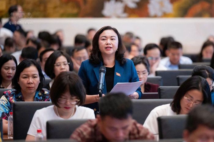 Đại biểu Đặng Bích Ngọc (tỉnh Phú Thọ) phát biểu. Nguồn: mediaquochoi