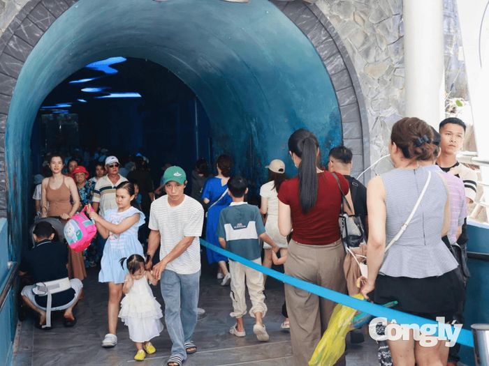 Du lịch tàu biển Khánh Hòa tăng tốc, hướng tới giữ chân du khách quốc tế.