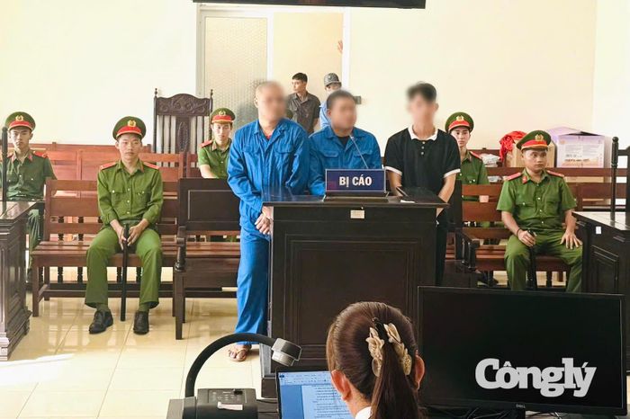 Các bị cáo tại phiên tòa.