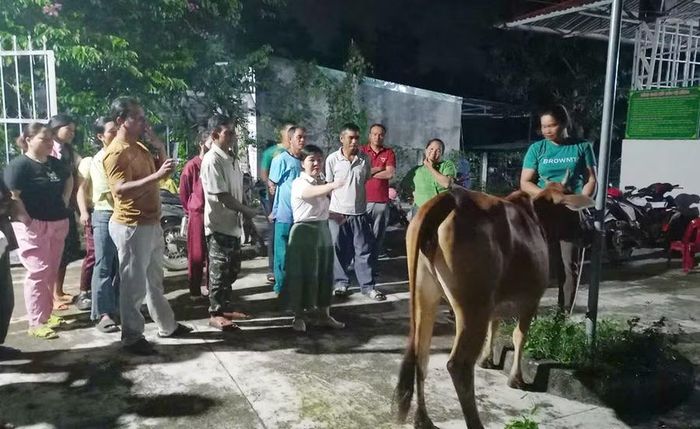  Các học viên được hướng dẫn những kiến thức trong chăn nuôi, vỗ béo bò. Ảnh: N.S 