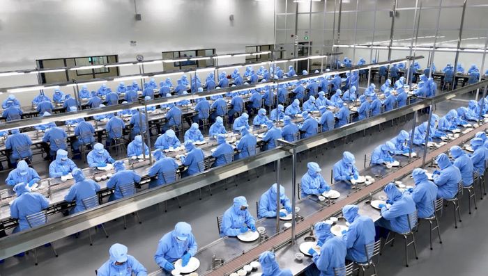 Hoạt động sản xuất kinh doanh tại Công ty Cổ phần Nước giải khát Yến sào Khánh Hòa.