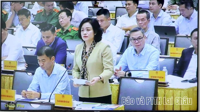 Đại biểu phát biểu thảo luận tại hội nghị. 