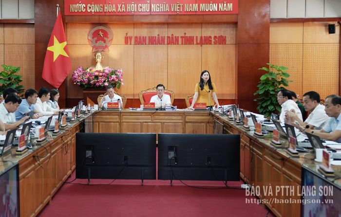 Đồng chí Trần Thanh Nhàn, Phó Chủ tịch UBND tỉnh phát biểu tại phiên họp