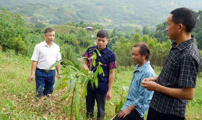 Anh Mùa A Cang (ngoài cùng, bên phải) giới thiệu kỹ thuật trồng quế cho cán bộ thôn Suối Bu và hộ nghèo của thôn.