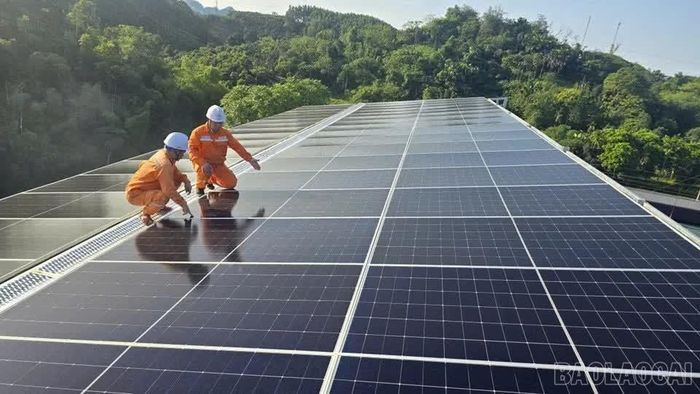 Toàn tỉnh đã có trên 800 khách hàng lắp đặt và sử dụng điện mặt trời mái nhà.
