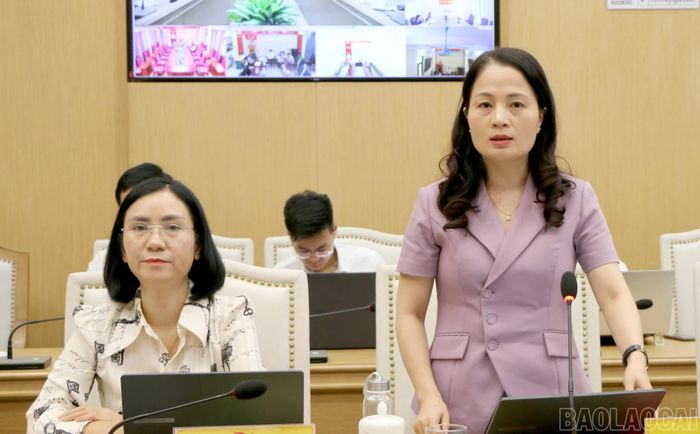 Các đại biểu phát biểu thảo luận tại hội nghị.