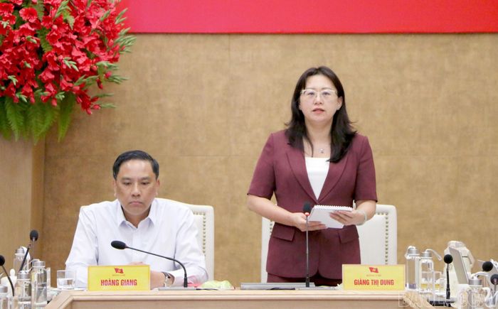  Đồng chí Phó Bí thư Tỉnh ủy, Trưởng Đoàn đại biểu Quốc hội tỉnh Giàng Thị Dung phát biểu tại hội nghị. 