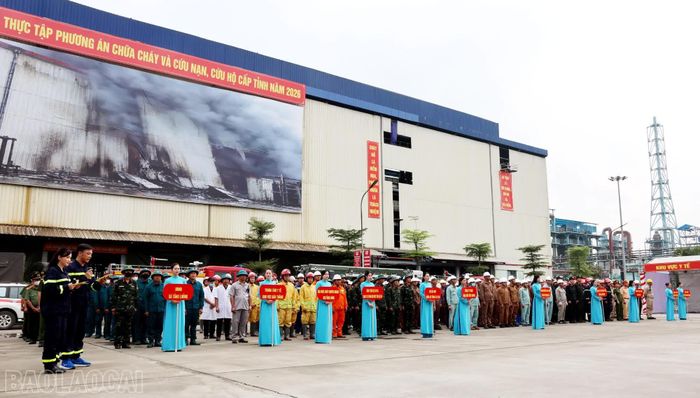 Các lực lượng tham gia thực tập.