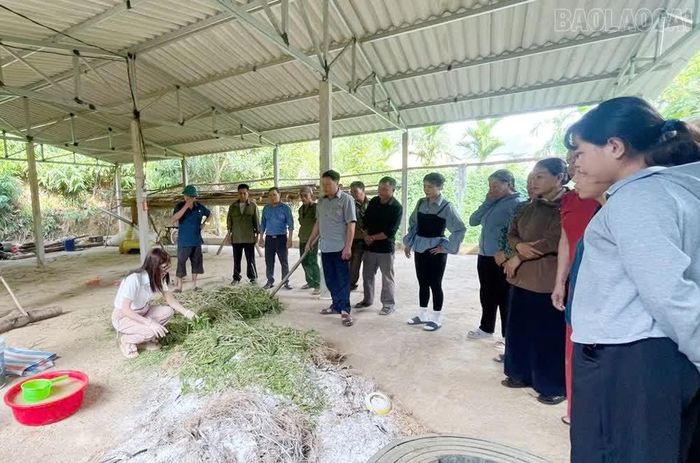 Thực hành các biện pháp xử lý chất thải, sử dụng chế phẩm sinh học, tận dụng phụ phẩm nông nghiệp và chăn nuôi để tạo nguồn phân bón hữu cơ phục vụ sản xuất.
