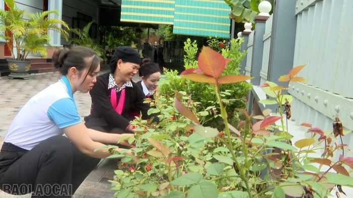 Các hộ gia đình ở xã Phong Hải chủ động chỉnh trang khuôn viên, xây dựng vườn hoa, vườn rau.