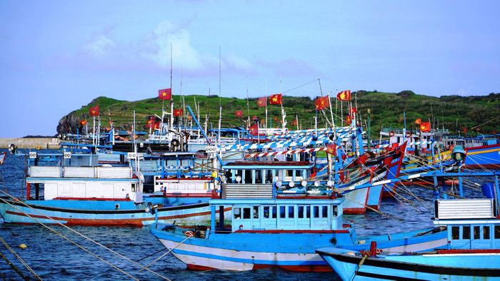 Số lượng tàu cá của tỉnh được đăng ký và cập nhật đầy đủ trên cơ sở dữ liệu nghề cá quốc gia đạt 100%