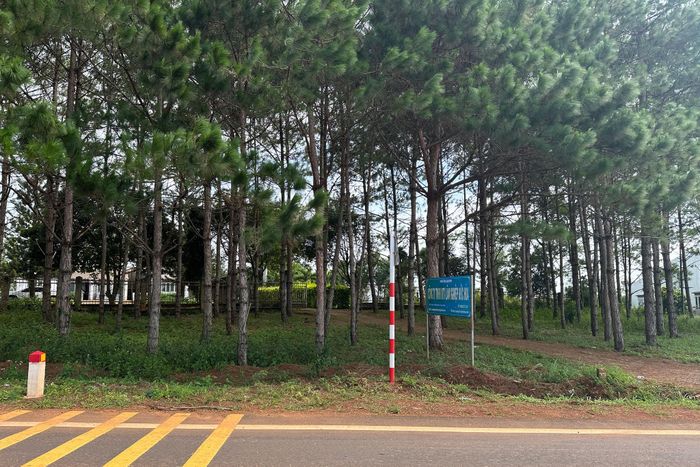 Công ty TNHH MTV Lâm nghiệp Đức Hòa đang nợ tiền thuê đất khoảng 87 tỷ đồng, trong đó Thanh tra Chính phủ yêu cầu tỉnh Lâm Đồng thu hồi 7,3 tỷ đồng từ năm 2010 nhưng tới nay vẫn chưa hoàn thành