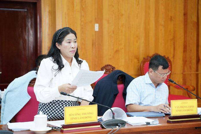 Bà Cao Thị Thanh, Phó Giám đốc Sở Công thương phát biểu, báo cáo tiến độ thực hiện dự án