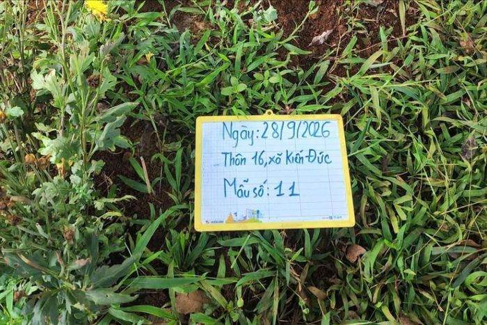 Vị trí, số mẫu tại thực địa
