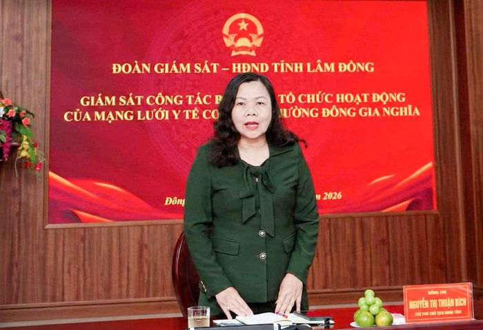 Tỉnh ủy viên, Phó Chủ tịch HĐND tỉnh Nguyễn Thị Thuận Bích kết luận buổi làm việc