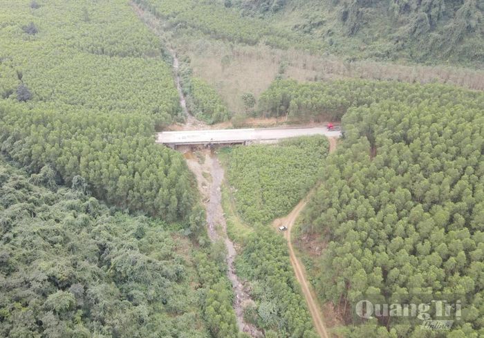 Có 347,74ha đất Công ty TNHH MTV LCN Bắc Quảng Bình liên kết trồng rừng nguyên liệu với người dân nhưng chưa thực hiện đầy đủ thủ tục theo quy định của Luật Đất đai năm 2024 - Ảnh: B.T